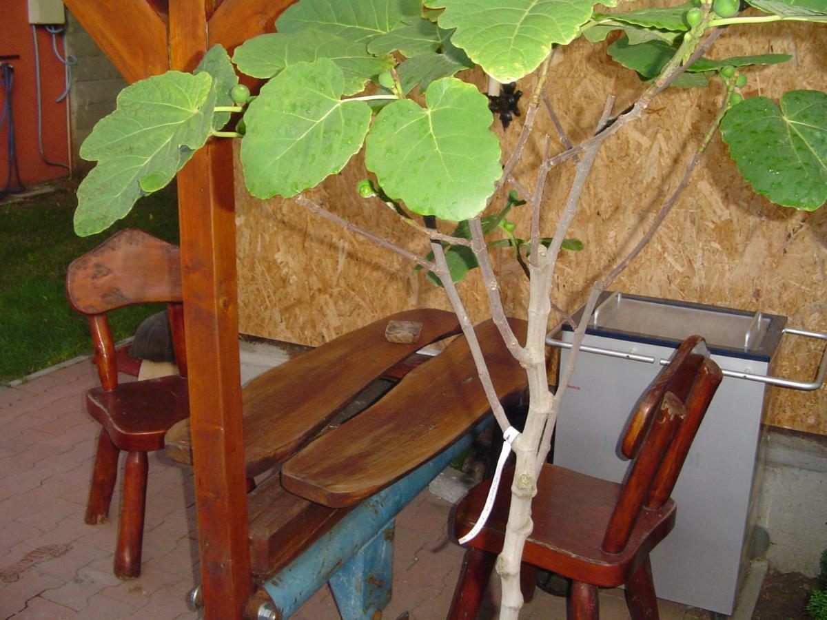 Karavan Štúrovo Exterior foto